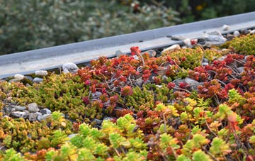the cost of Whiteclosegate green roof installation